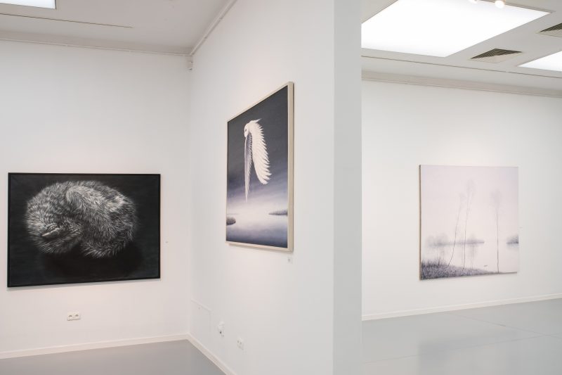Stanisław Baj, Rafał Borcz, <em>Nad morzem mgieł</em>, wystawa w Galerii Miejskiej BWA w Bydgoszczy 
