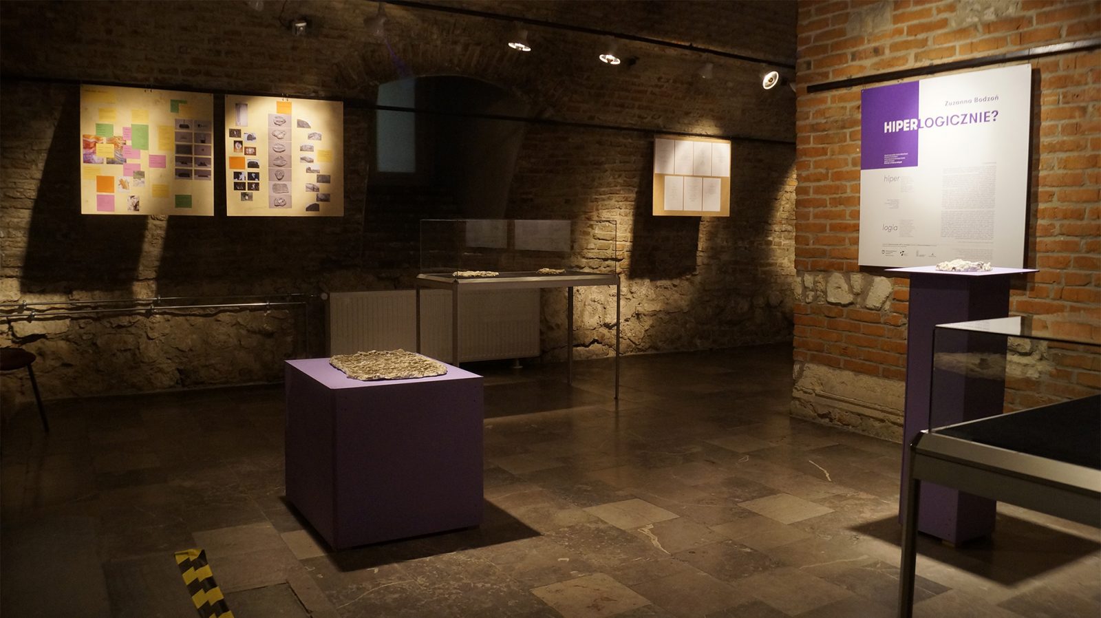 Widok wystawy, Zuzanna Bodzoń, <em>Hiperlogia,</em> Muzeum Archeologiczne w Krakowie (1–13.06.2021)